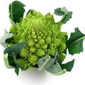 Romanesco